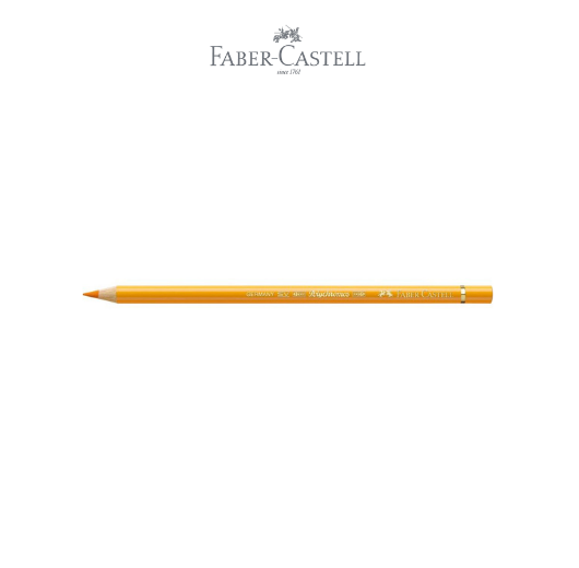 Polychromos Colour Pencil dark chrome yellow