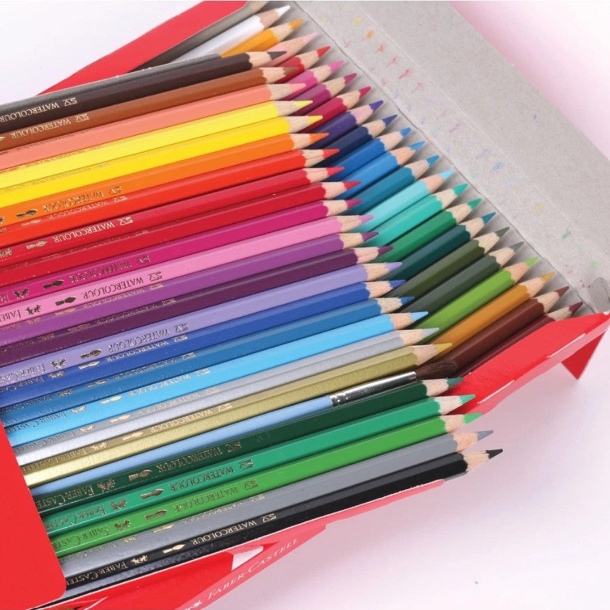 Pensil Warna Air Burung Beo 48 L