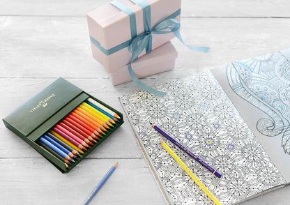 Polychromos Artists' Colour Pencils Kotak Studio isi 36