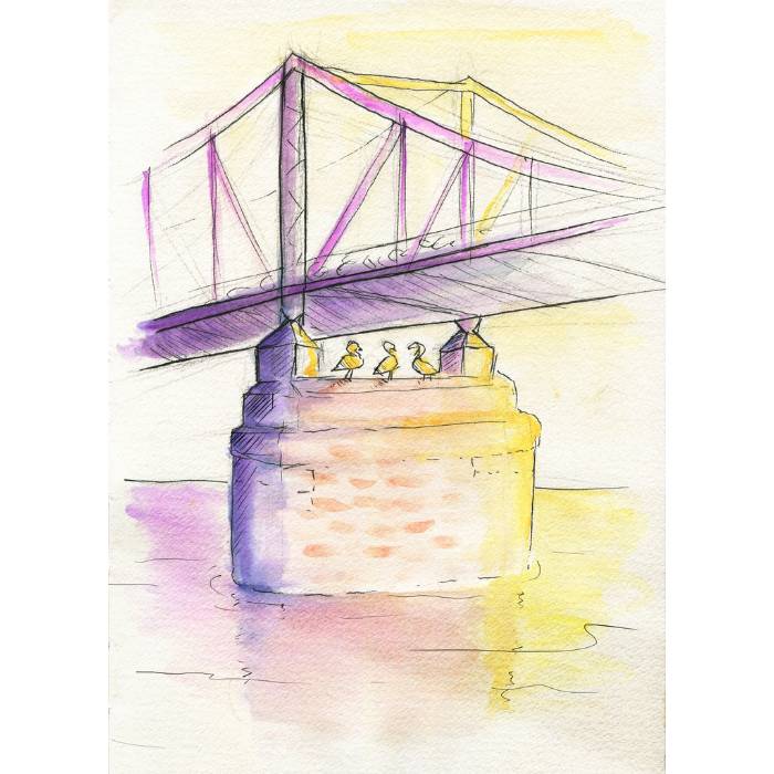 Solid Watercolours 24 Colours