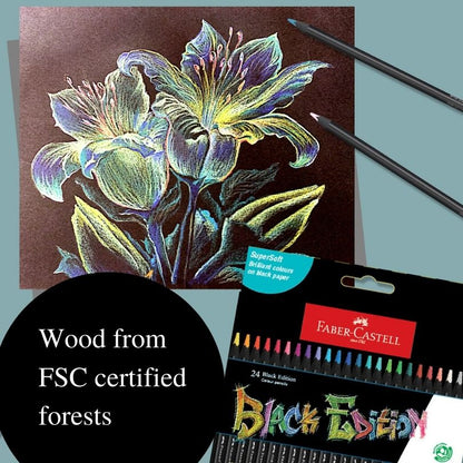 Black Edition Colour Pencils 12