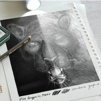 PITT Graphite Matt 2B
