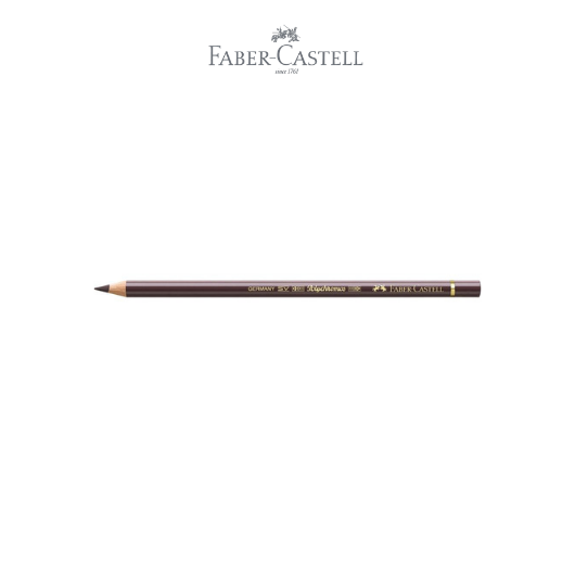 Polychromos Colour Pencil walnut brown