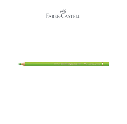 Polychromos Colour Pencil light green