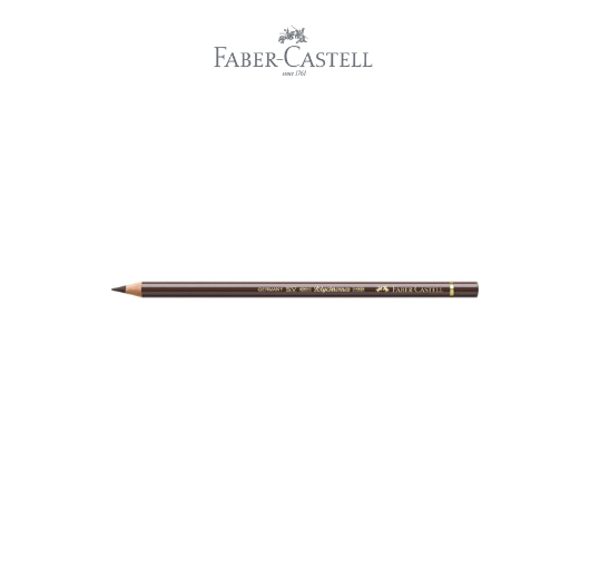 Polychromos Colour Pencil burnt umber
